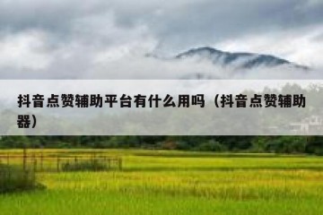 抖音点赞辅助平台有什么用吗（抖音点赞辅助器）