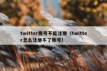 twitter账号不能注册（twitter怎么注册不了账号）