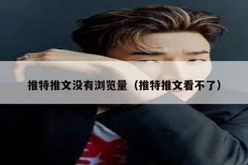 推特推文没有浏览量（推特推文看不了）