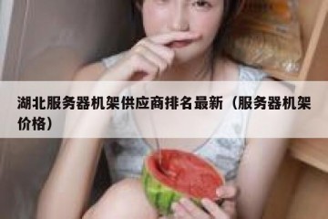 湖北服务器机架供应商排名最新（服务器机架价格）