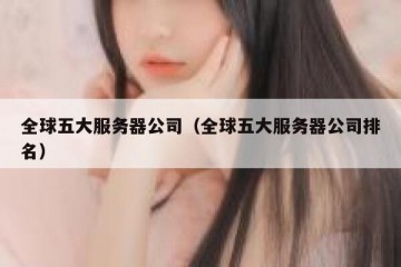 全球五大服务器公司（全球五大服务器公司排名）