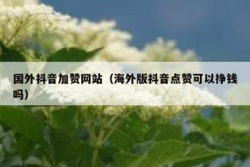 国外抖音加赞网站（海外版抖音点赞可以挣钱吗）