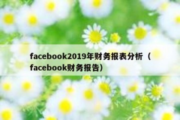 facebook2019年财务报表分析（facebook财务报告）