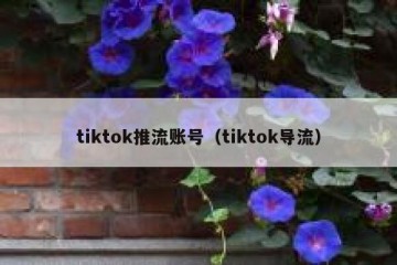 tiktok推流账号（tiktok导流）