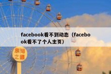facebook看不到动态（facebook看不了个人主页）