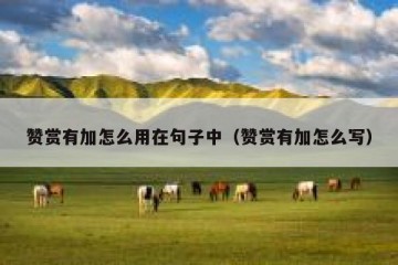 赞赏有加怎么用在句子中（赞赏有加怎么写）