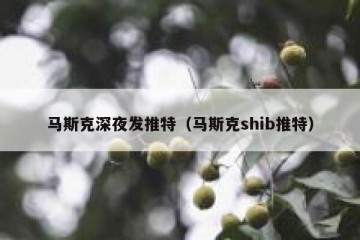 马斯克深夜发推特（马斯克shib推特）