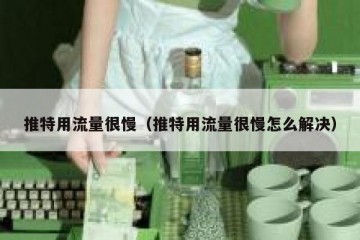 推特用流量很慢（推特用流量很慢怎么解决）