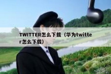 TWITTER怎么下载（华为twitter怎么下载）