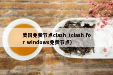 美国免费节点clash（clash for windows免费节点）