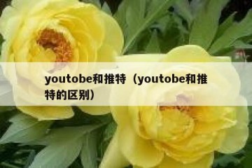 youtobe和推特（youtobe和推特的区别）