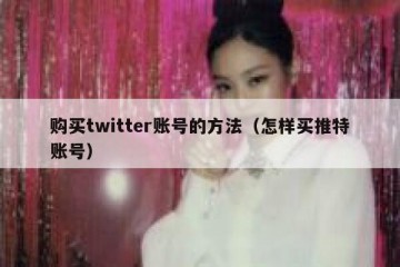 购买twitter账号的方法（怎样买推特账号）