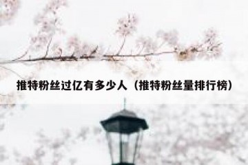 推特粉丝过亿有多少人（推特粉丝量排行榜）
