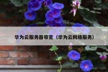 华为云服务器带宽（华为云网络服务）