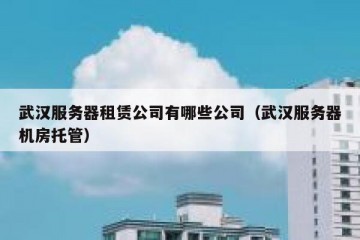 武汉服务器租赁公司有哪些公司（武汉服务器机房托管）