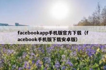 facebookapp手机版官方下载（facebook手机版下载安卓版）