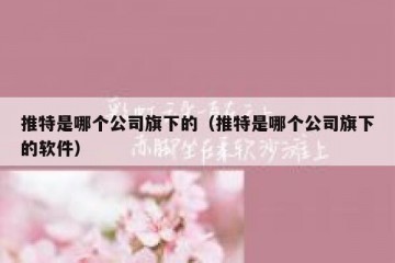 推特是哪个公司旗下的（推特是哪个公司旗下的软件）