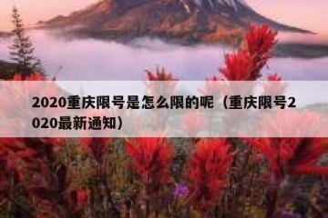 2020重庆限号是怎么限的呢（重庆限号2020最新通知）