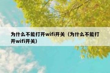 为什么不能打开wifi开关（为什么不能打开wifi开关）