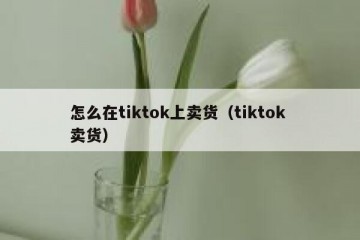 怎么在tiktok上卖货（tiktok 卖货）