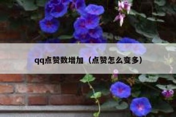 qq点赞数增加（点赞怎么变多）