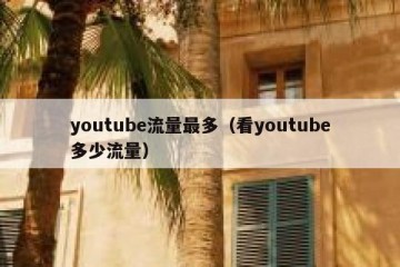 youtube流量最多（看youtube多少流量）