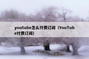 youtube怎么付费订阅（YouTube付费订阅）