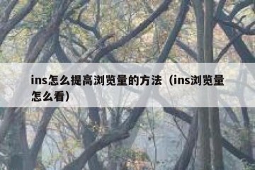 ins怎么提高浏览量的方法（ins浏览量怎么看）