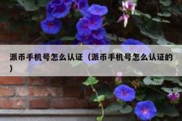 派币手机号怎么认证（派币手机号怎么认证的）