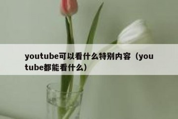 youtube可以看什么特别内容（youtube都能看什么）