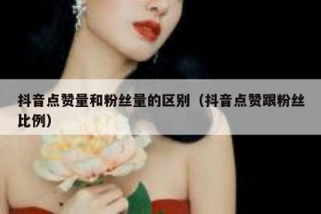 抖音点赞量和粉丝量的区别（抖音点赞跟粉丝比例）