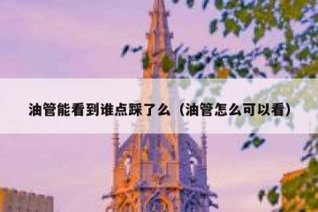 油管能看到谁点踩了么（油管怎么可以看）