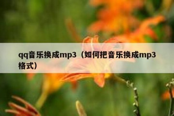qq音乐换成mp3（如何把音乐换成mp3格式）