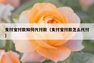 支付宝付款如何代付款（支付宝付款怎么代付）
