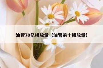 油管70亿播放量（油管前十播放量）