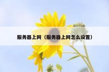 服务器上网（服务器上网怎么设置）