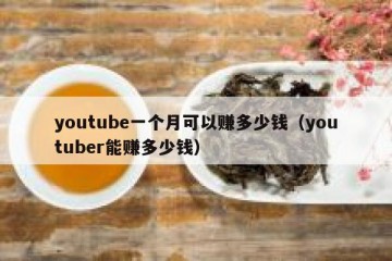youtube一个月可以赚多少钱（youtuber能赚多少钱）