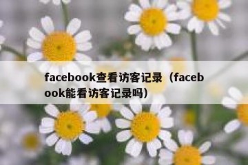 facebook查看访客记录（facebook能看访客记录吗）