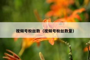 视频号粉丝数（视频号粉丝数量）