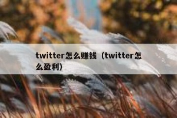 twitter怎么赚钱（twitter怎么盈利）