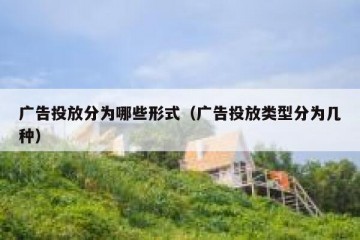 广告投放分为哪些形式（广告投放类型分为几种）