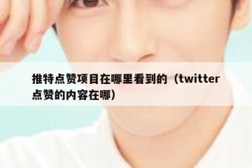 推特点赞项目在哪里看到的（twitter点赞的内容在哪）