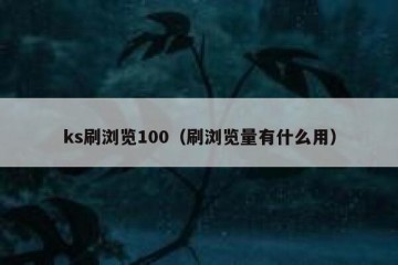 ks刷浏览100（刷浏览量有什么用）