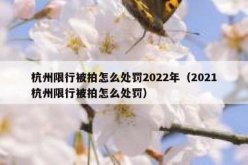 杭州限行被拍怎么处罚2022年（2021杭州限行被拍怎么处罚）