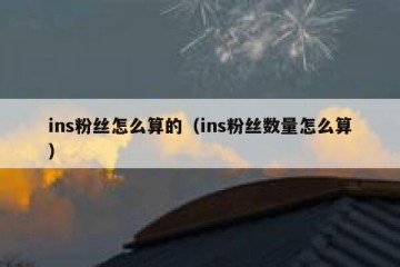 ins粉丝怎么算的（ins粉丝数量怎么算）