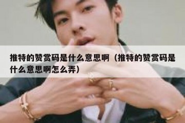 推特的赞赏码是什么意思啊（推特的赞赏码是什么意思啊怎么弄）