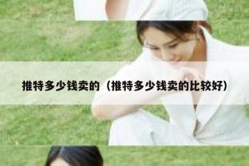 推特多少钱卖的（推特多少钱卖的比较好）