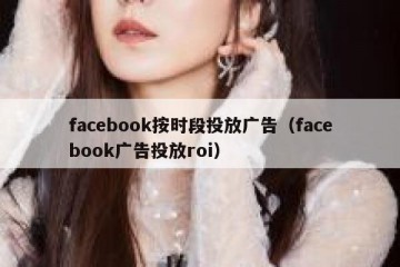 facebook按时段投放广告（facebook广告投放roi）