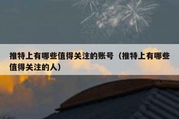 推特上有哪些值得关注的账号（推特上有哪些值得关注的人）
