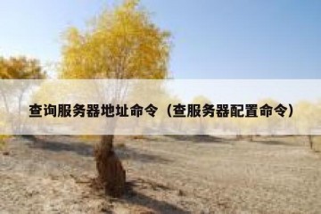 查询服务器地址命令（查服务器配置命令）